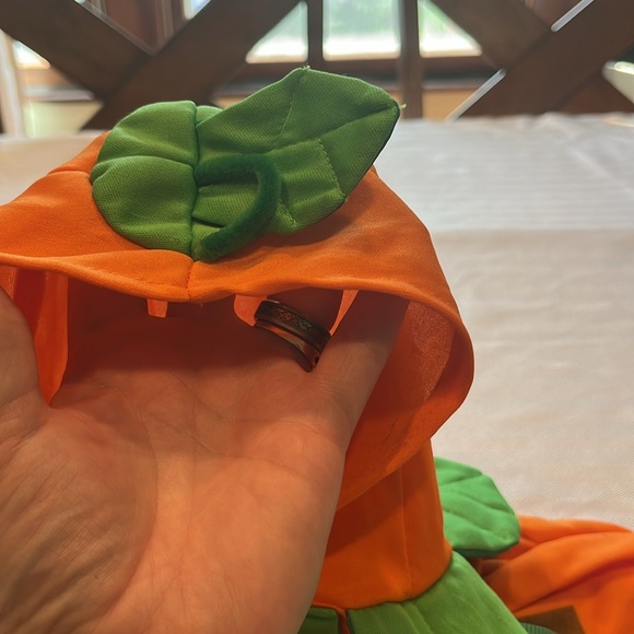 Pumpkin Dog Costume - Picture 6 of 6